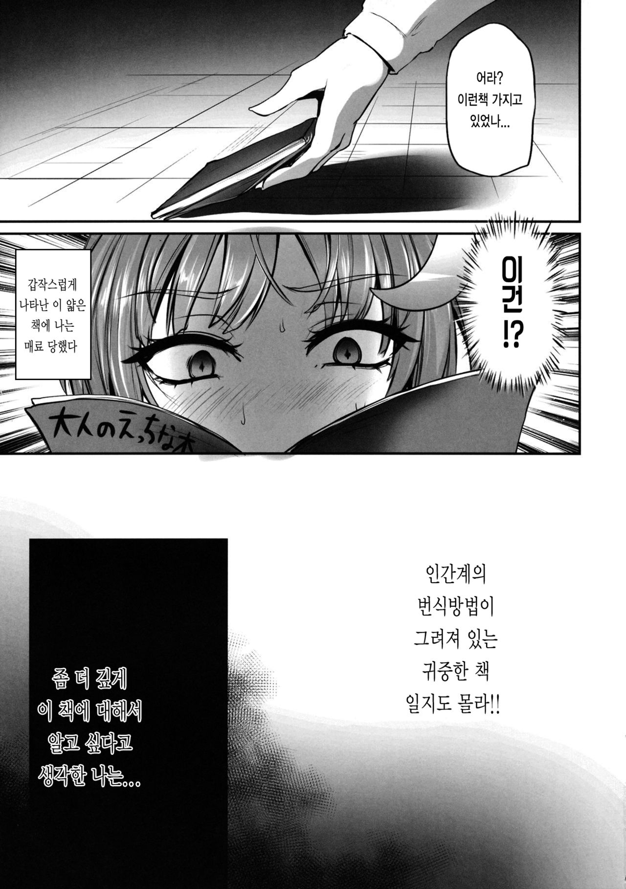 TOHO-MIX -patchouli- page 4 full
