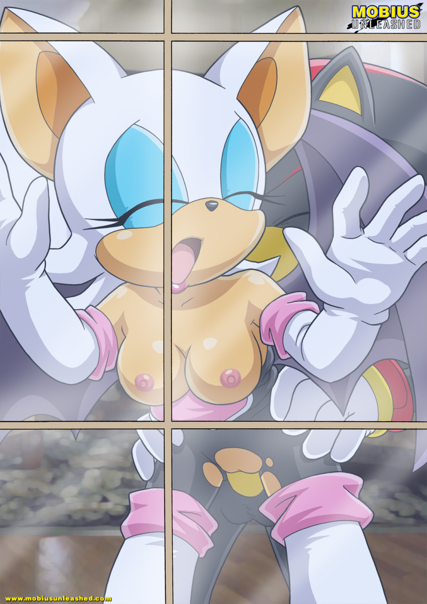 Mobius Unleashed: Shadouge page 8 full