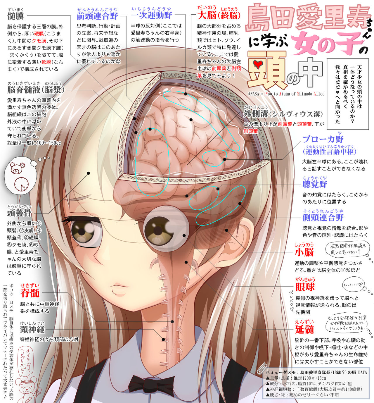 Anatomy page 3 full