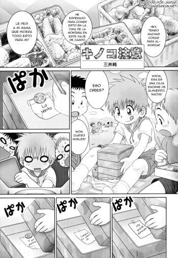 Kinoko Chuui cover