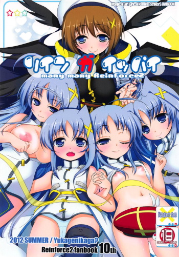 Rein ga Ippai cover