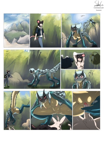 Light adventure cover