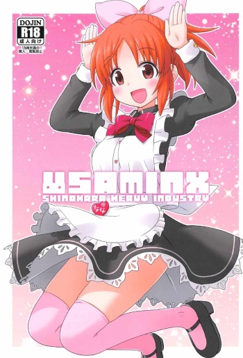 Usaminx cover