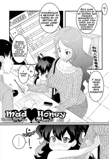Mad Honey cover