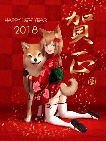 Hayabusa cover