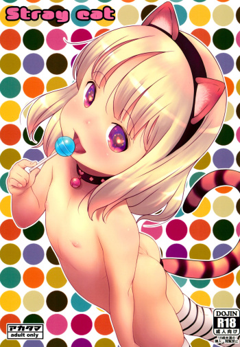 Stray cat cover
