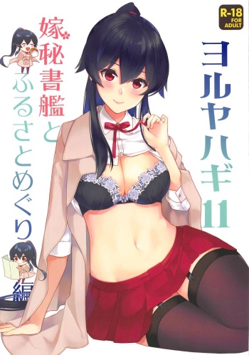 Yoru Yahagi 11 cover