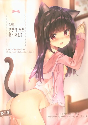 Onii-chan Nekomimi wa Osuki desu ka? | 오빠 고양이 귀는 좋아해요? cover