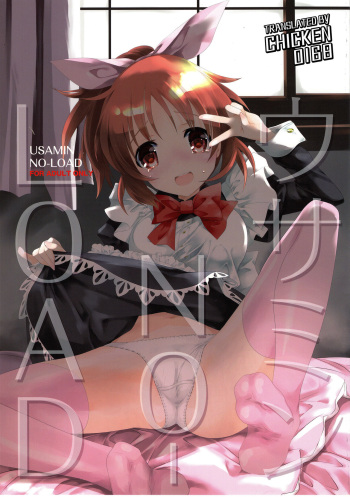 USAMIN NO-LOAD cover