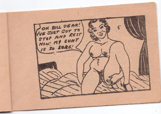 William Powell and Myrna Loy in "Nuts to Will Hays" page 6 full