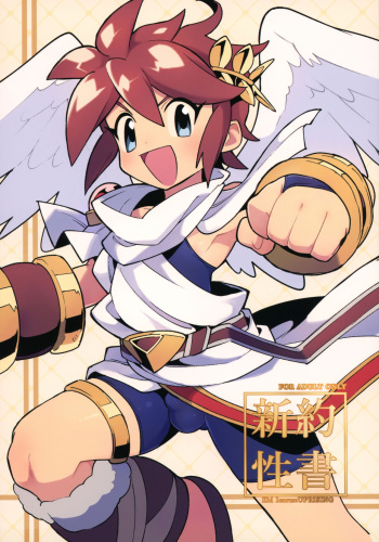 Shinyakuseisho cover
