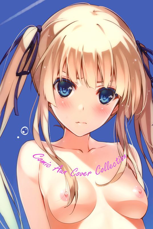 Cover pages of Comic Aun illustrated by Misaki Kurehito page 1 full
