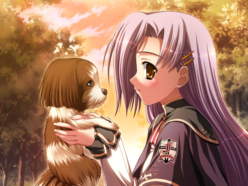 Harukoi ＊ Otome ~Otome no Sono de Gokigen'you.~ / Harukoi Otome ~Greetings from the Maidens' Garden~ page 3 full