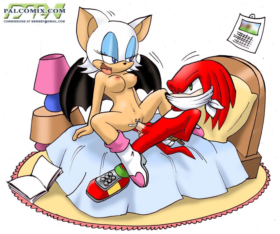Mobius Unleashed: Knuxouge page 1 full