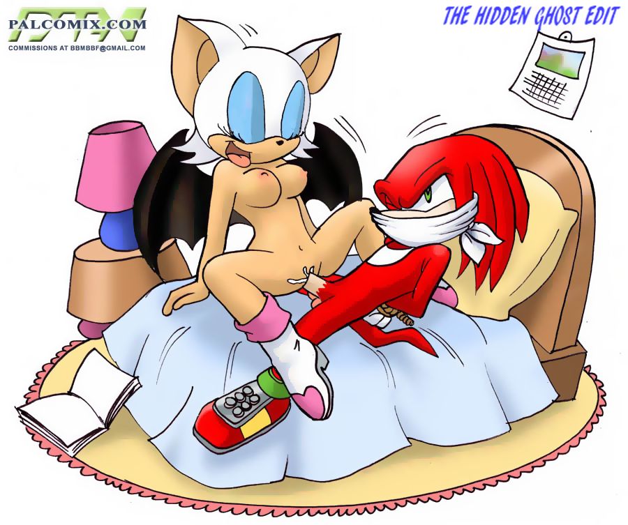 Mobius Unleashed: Knuxouge page 2 full