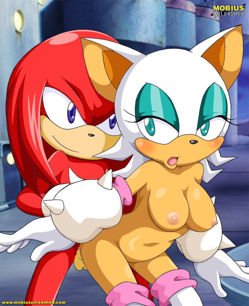 Mobius Unleashed: Knuxouge page 6 full