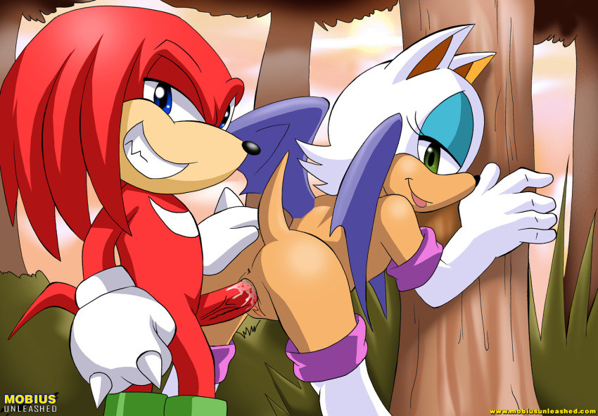 Mobius Unleashed: Knuxouge page 7 full