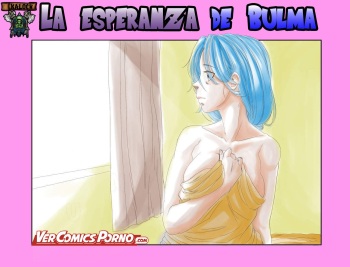 La Esperanza De Bulma 1 cover