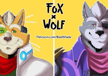 Fox x Wolf cover