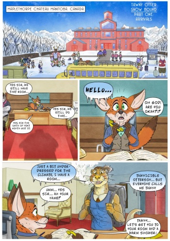 Snow Bound cover