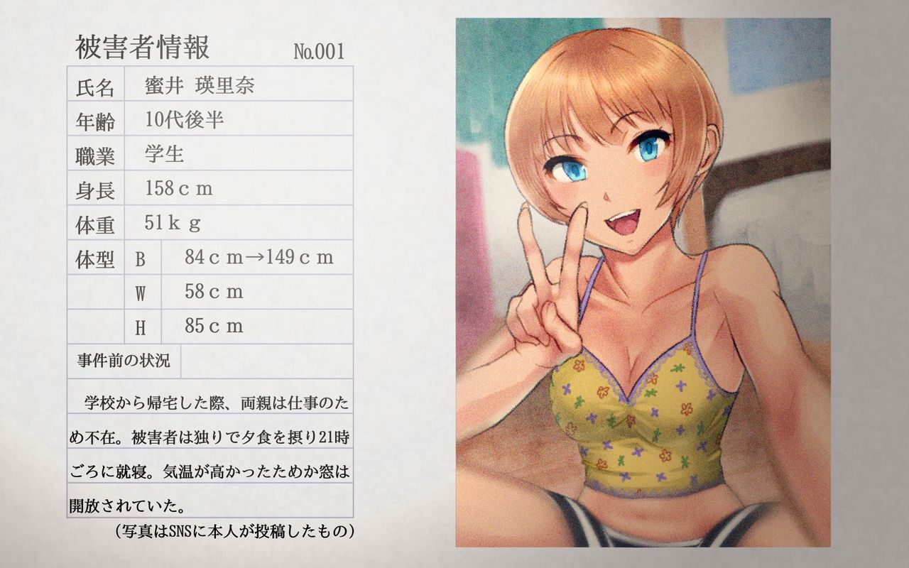 Chuukan Houkokusho page 3 full