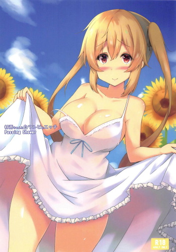 Murasame-chan to Shiro OnePi to Ecchi cover