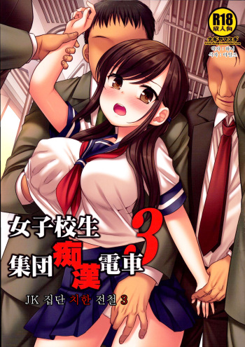 Joshikousei Shuudan Chikan Densha 3 | JK 집단 치한 전철 3 cover