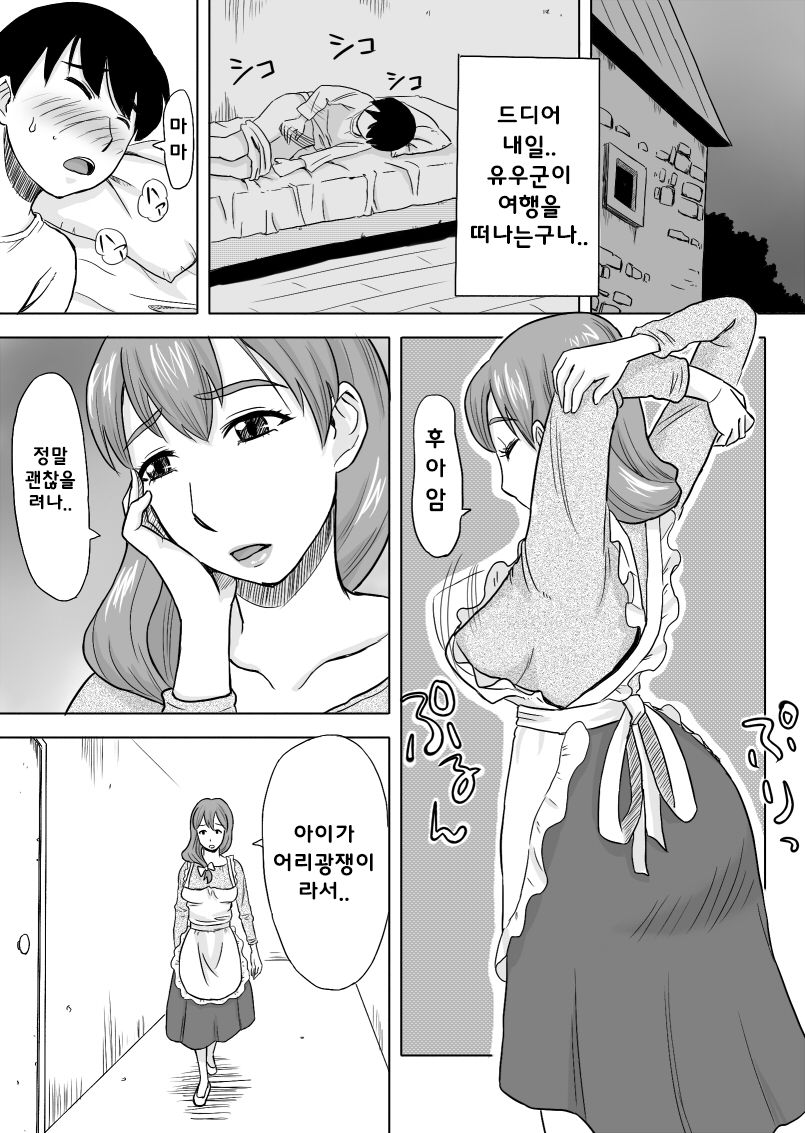 Mama wa Totsuzen Osottekita | 마마가 먼저 덮쳐온 밤 page 3 full
