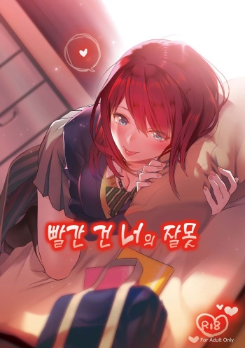 Akai wa Kimi no Toga | 빨간 건 너의 잘못 cover