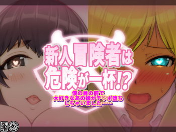 Shinjin Boukensha wa Kiken ga Ippai!? ~Boku no Menomaede Daisuki na Anoko ga Chinpo Ochi Shichaimashita~ cover