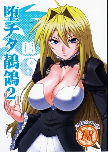 Ochita Sekirei 2 cover