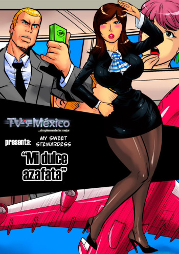 Mi Dulce Azafata cover