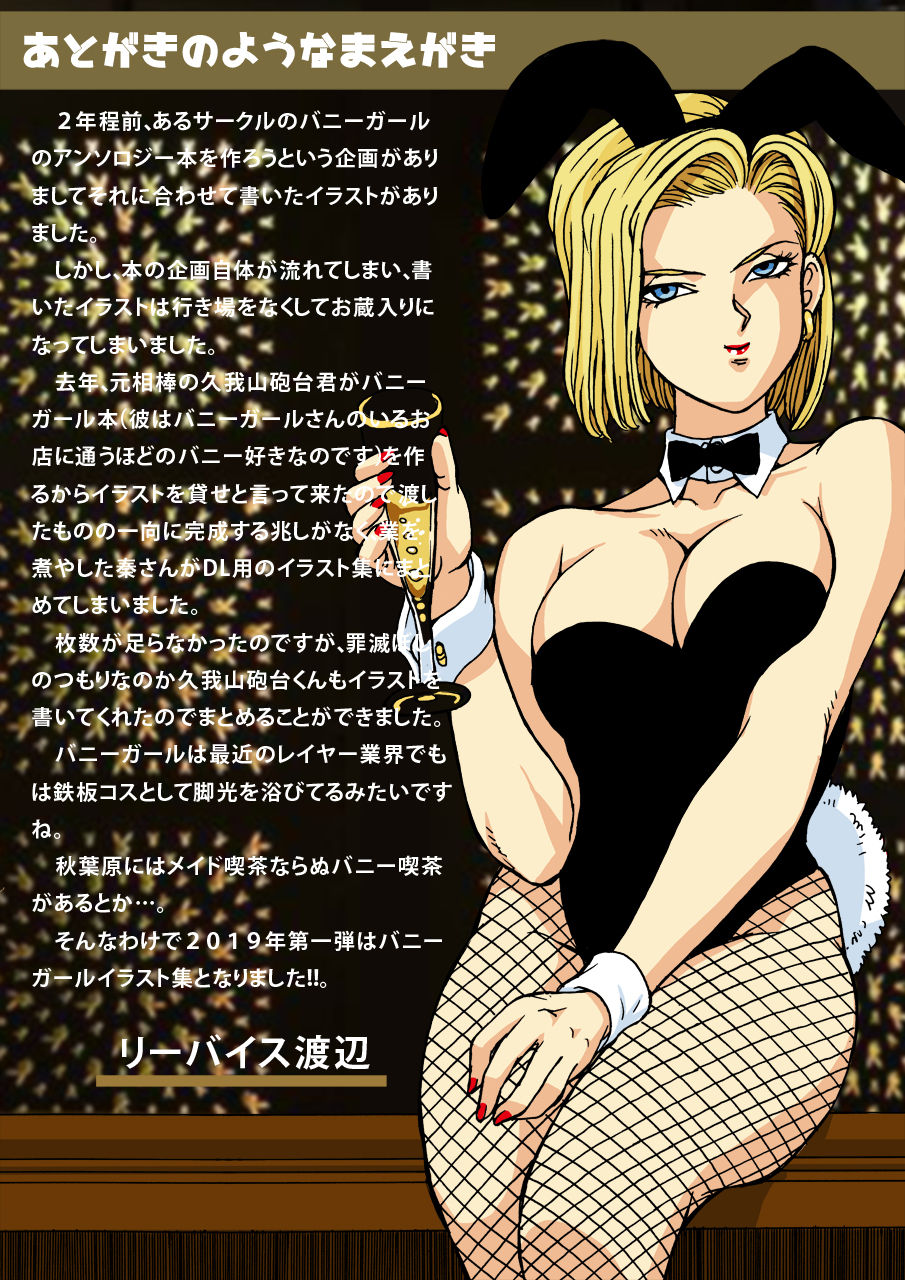 18 to Bulma no Bunnygirl ni Kanpai! page 2 full