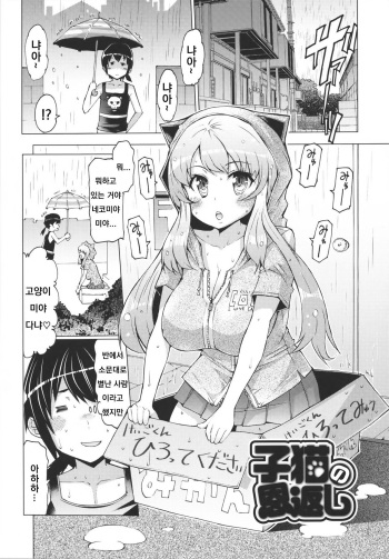 Koneko no Ongaeshi cover