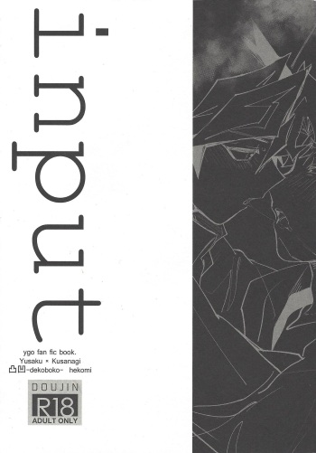 Input cover