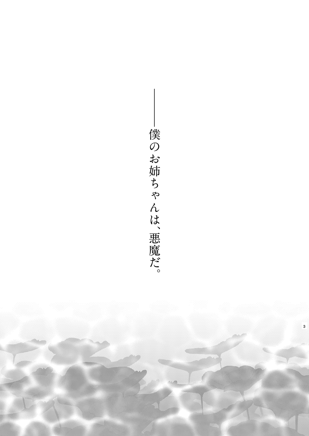 Ane Naru Mono Zenshuu 2 page 3 full