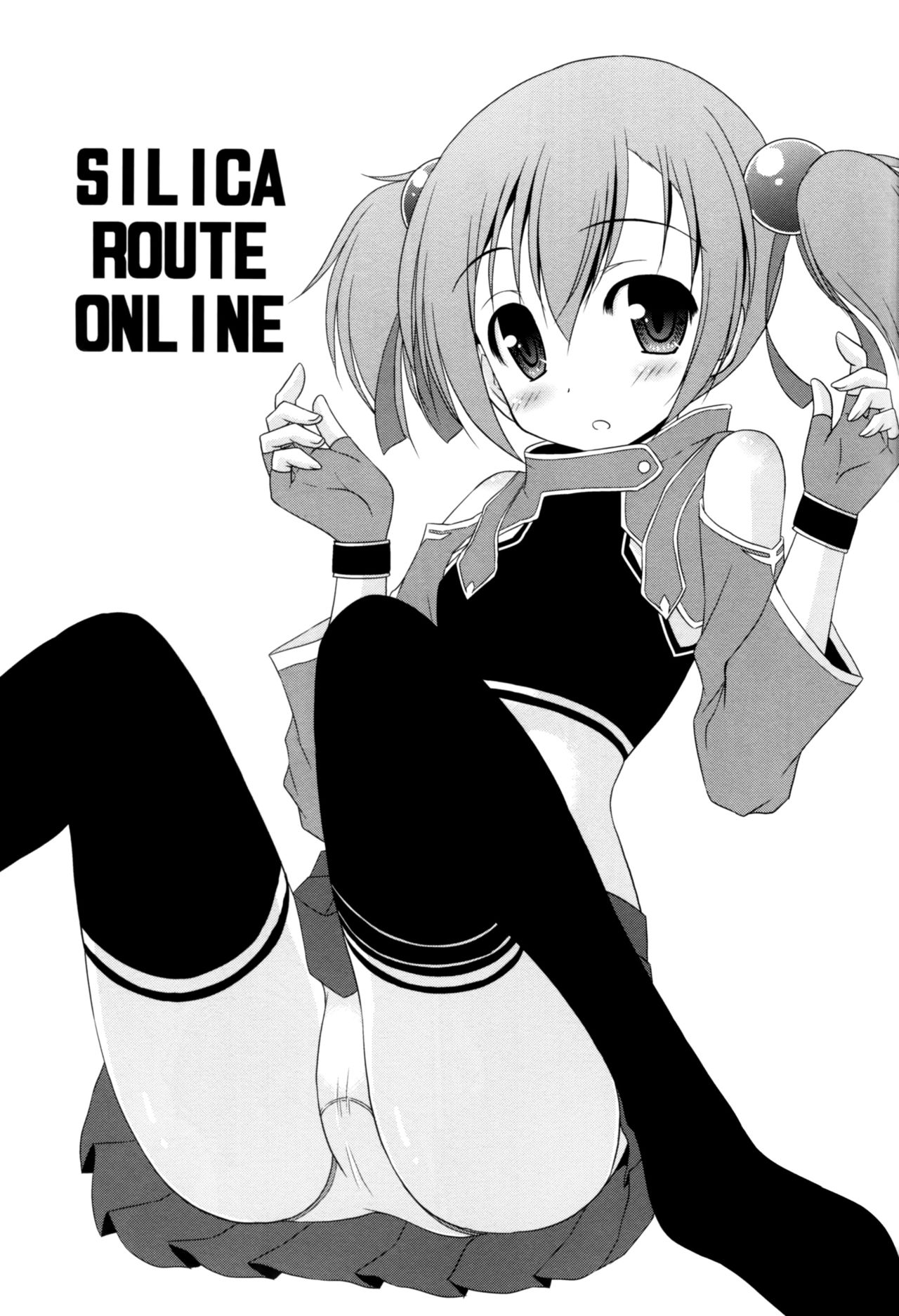 Silica Route Online page 2 full