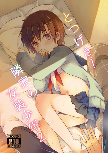 Totsugeki! Rinka no Josou Shounen 2 cover