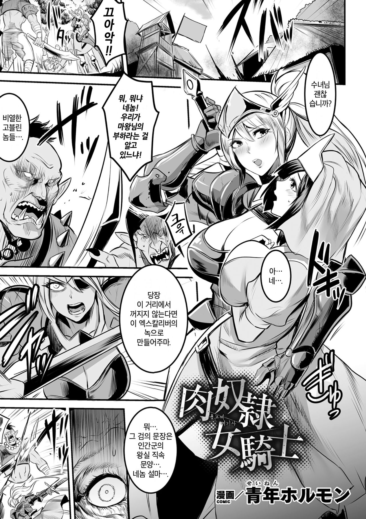 Nikudorei Onna Kishi | 육노예 여기사 page 1 full