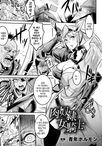Nikudorei Onna Kishi | 육노예 여기사 cover
