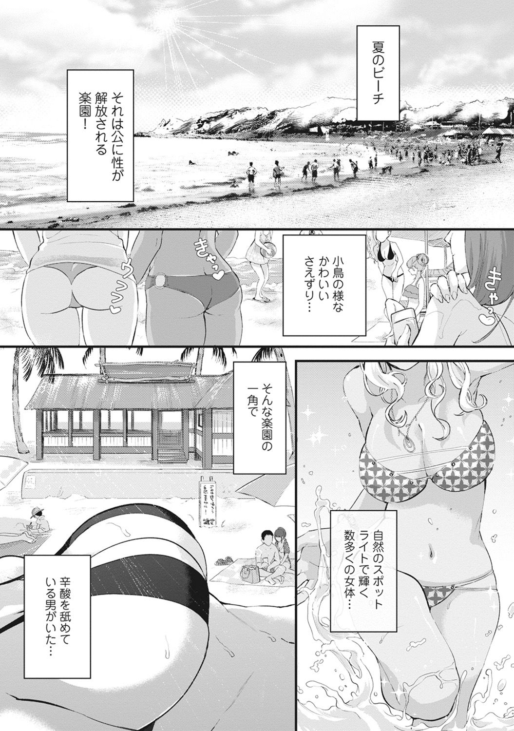 Umi no Ie de Harem Beit! Gal &amp; Shojo to Beach de Ecchi page 2 full