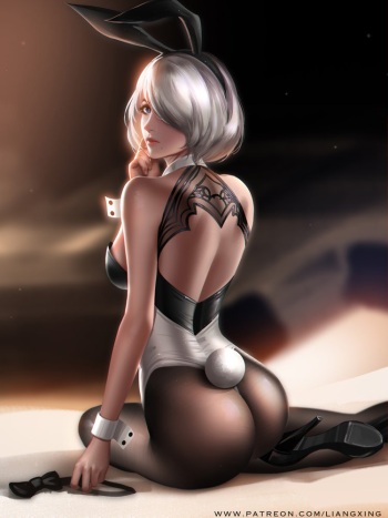 2B cover