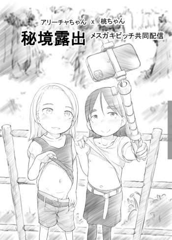 Ali-channel 2 Hikyou Roshutsu Mesugaki Bitch Kyoudou Haishin cover