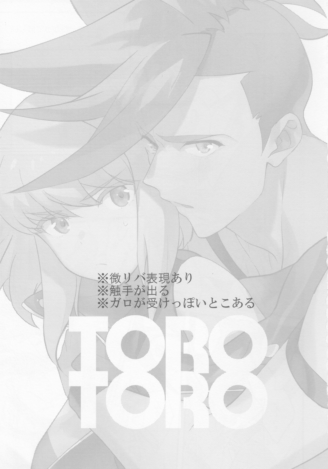 TOROTORO page 2 full