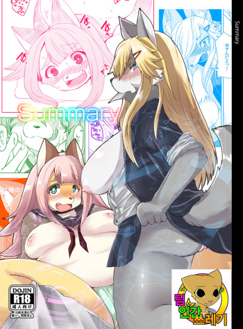 Summary cover