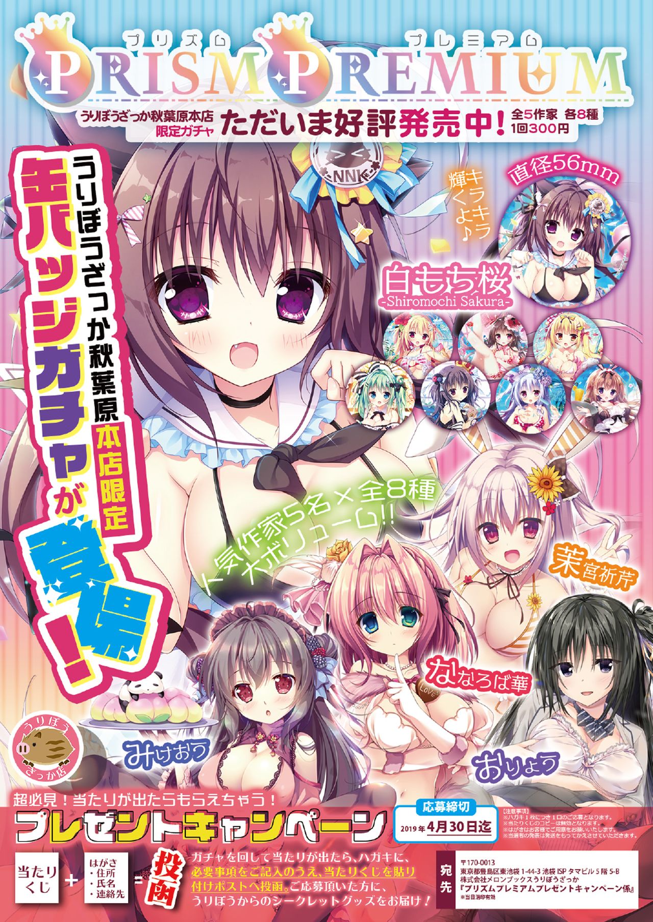 月刊うりぼうざっか店 2019年2月1日発行号 page 3 full
