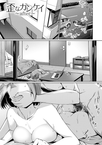 Ibitsu na Kankei ~after~ cover