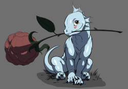 Dragon Test