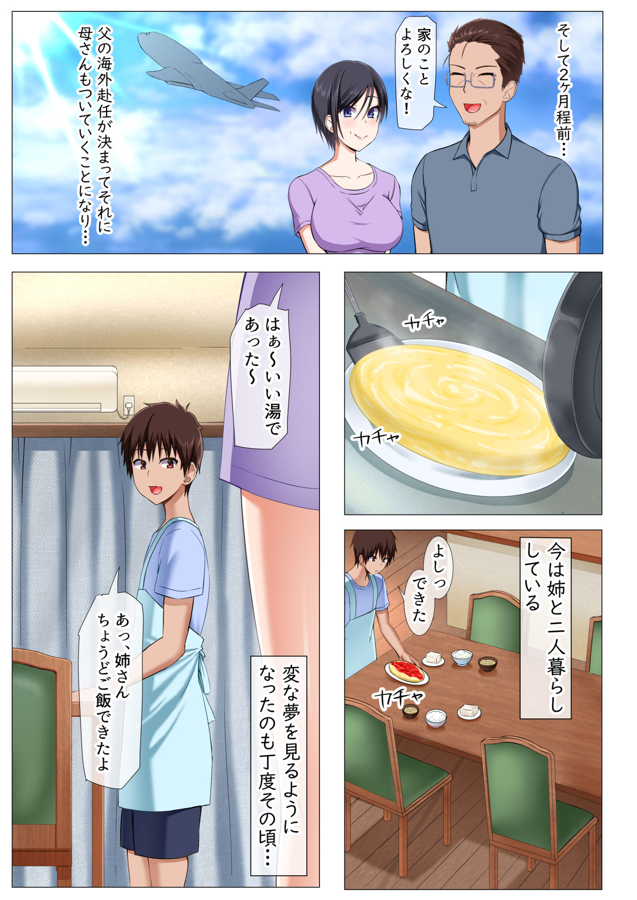 Boku no Nee-san ga Erosugite Komattemasu! page 8 full