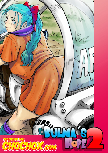 Bulma's Hope 2 cover